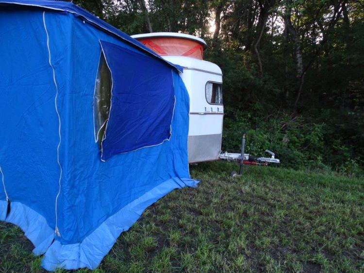 BUG WORKS,vw,���,�r�[�g��,eriba,�G���o,1968